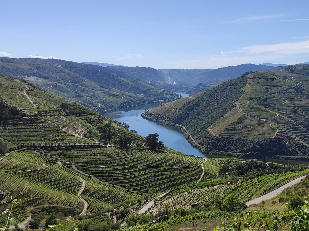 Douro Tours景点图片