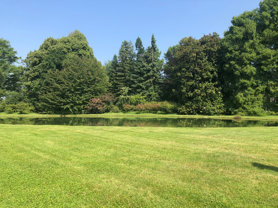 Villa Brandolini d'Adda景点图片