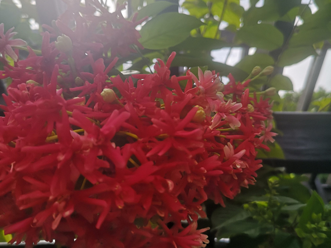 Agriculture Heritage Park-太子城必去景点