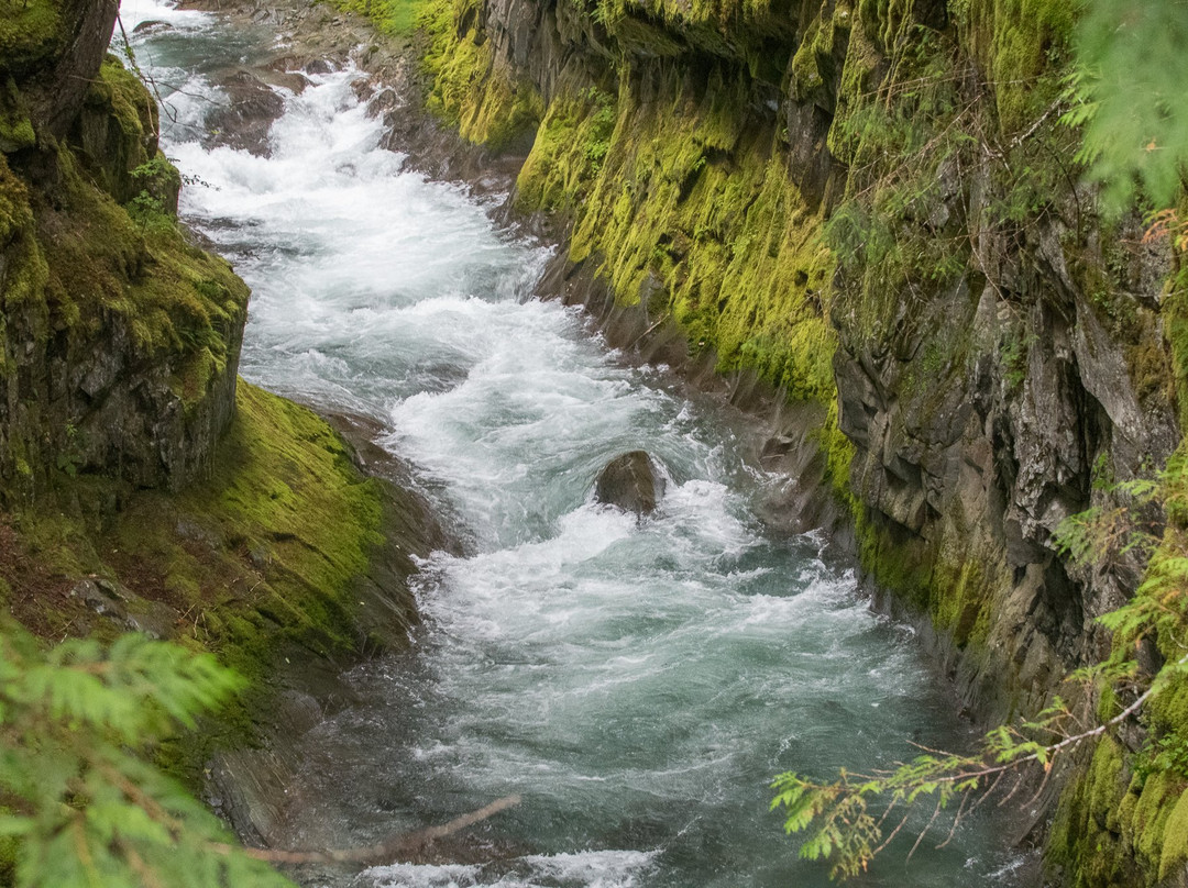 Tallheo Cannery Guest House主图