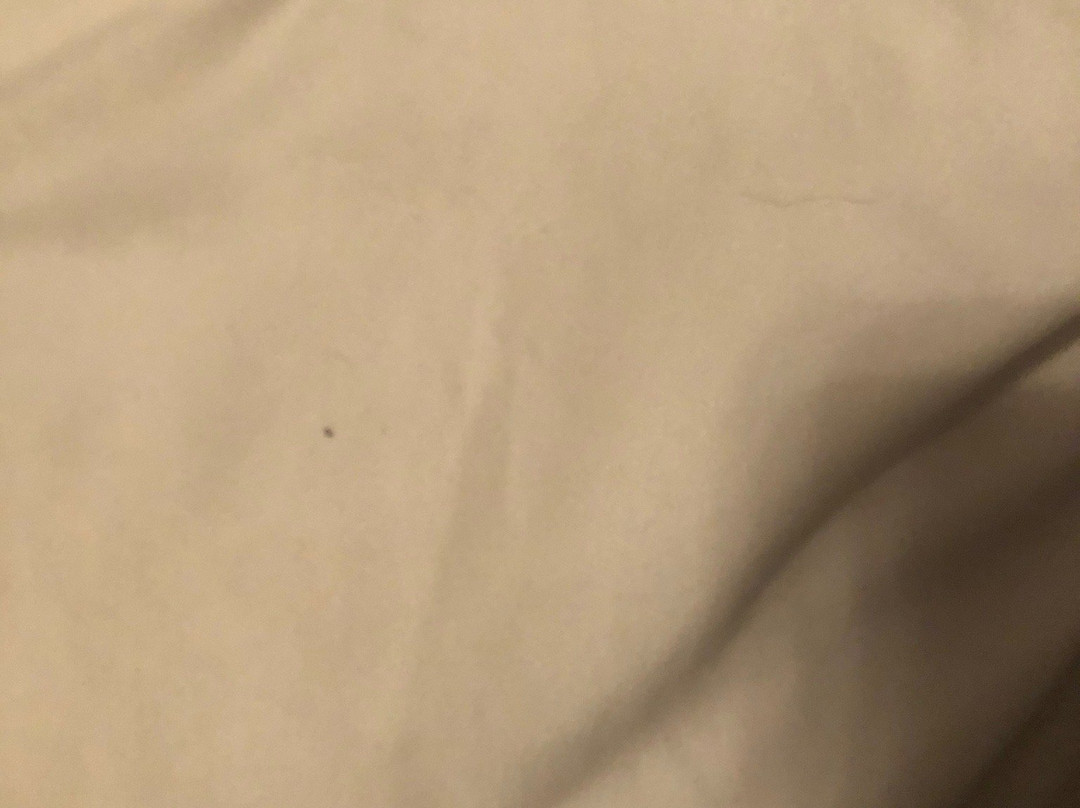 Anchor Inn and Suites主图