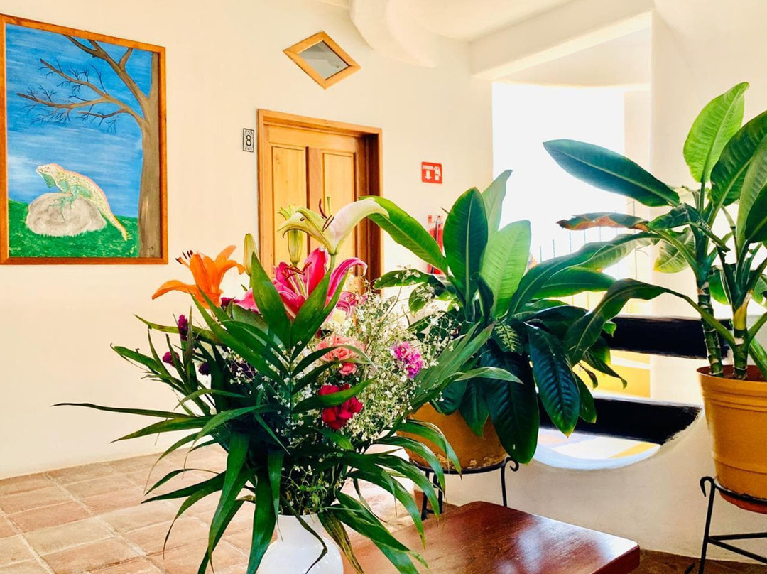 Hotel Cordelias主图