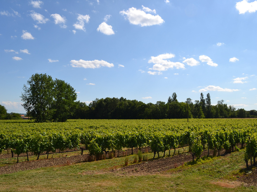 Les Raisins de L'Abbaye-Asnieres-la-Giraud必去景点