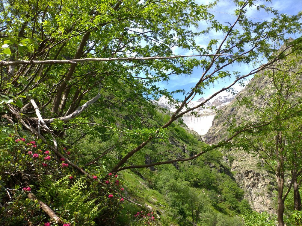 Lago Della Rovina-Entracque必去景点