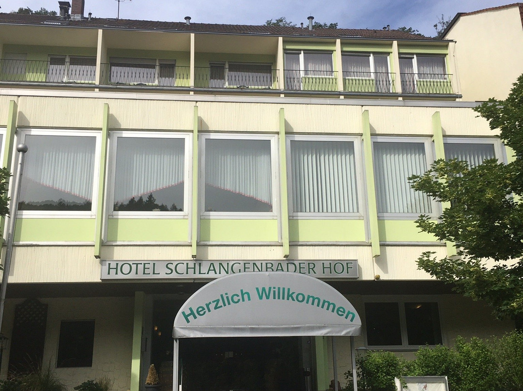 Hotel Schlangenbader Hof主图