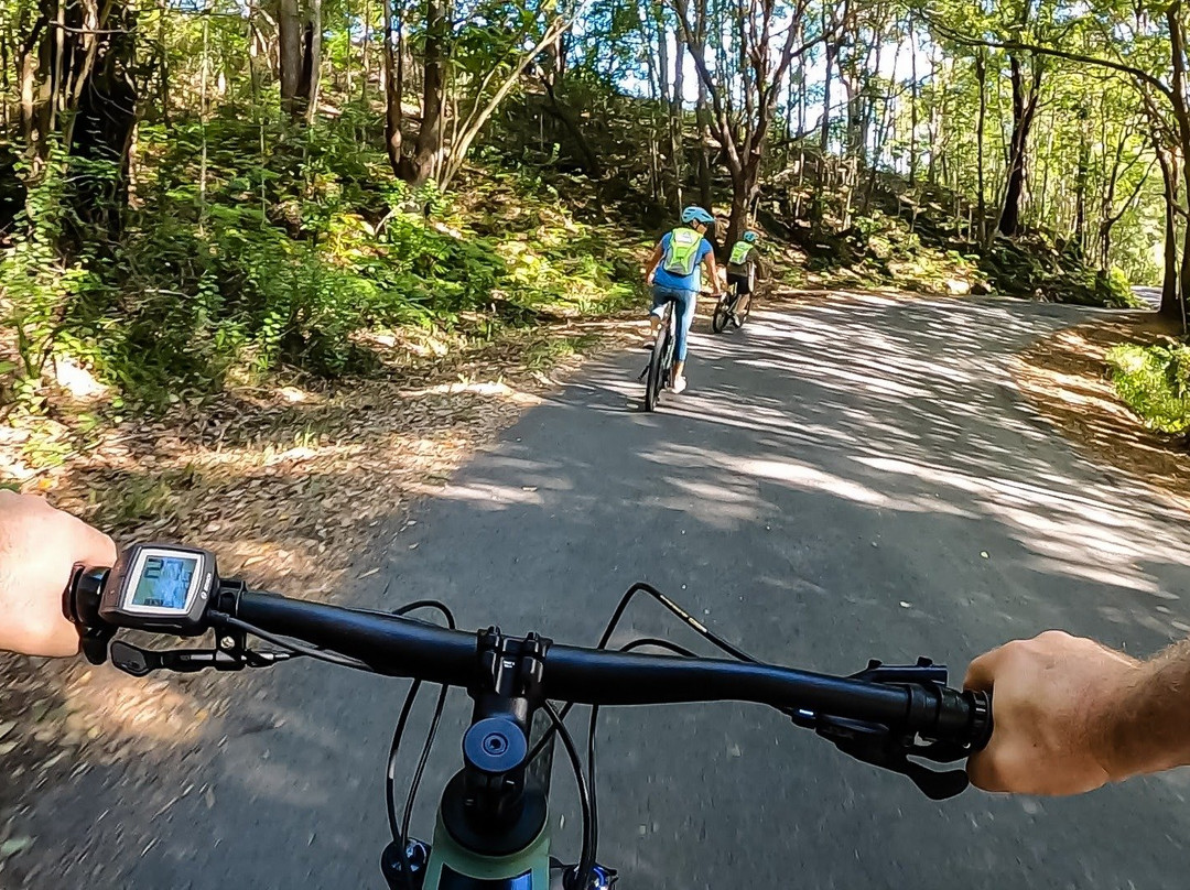 Beyond Byron E Bike Tours - Byron Bay景点图片