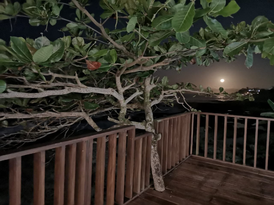 Hotel Playa Bonita主图