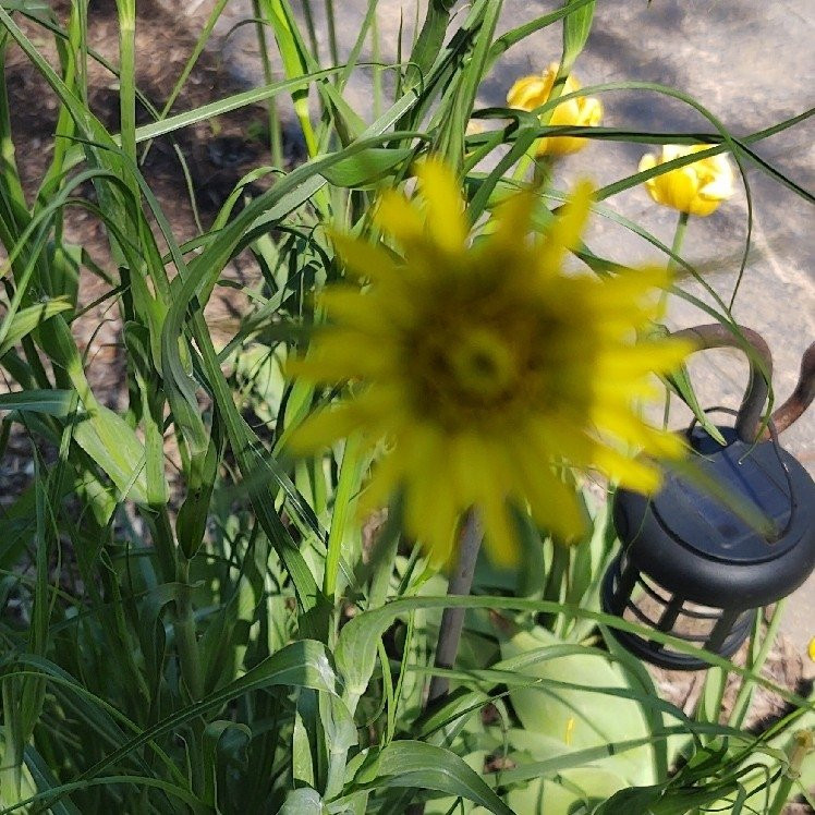 Warners旅游攻略图片