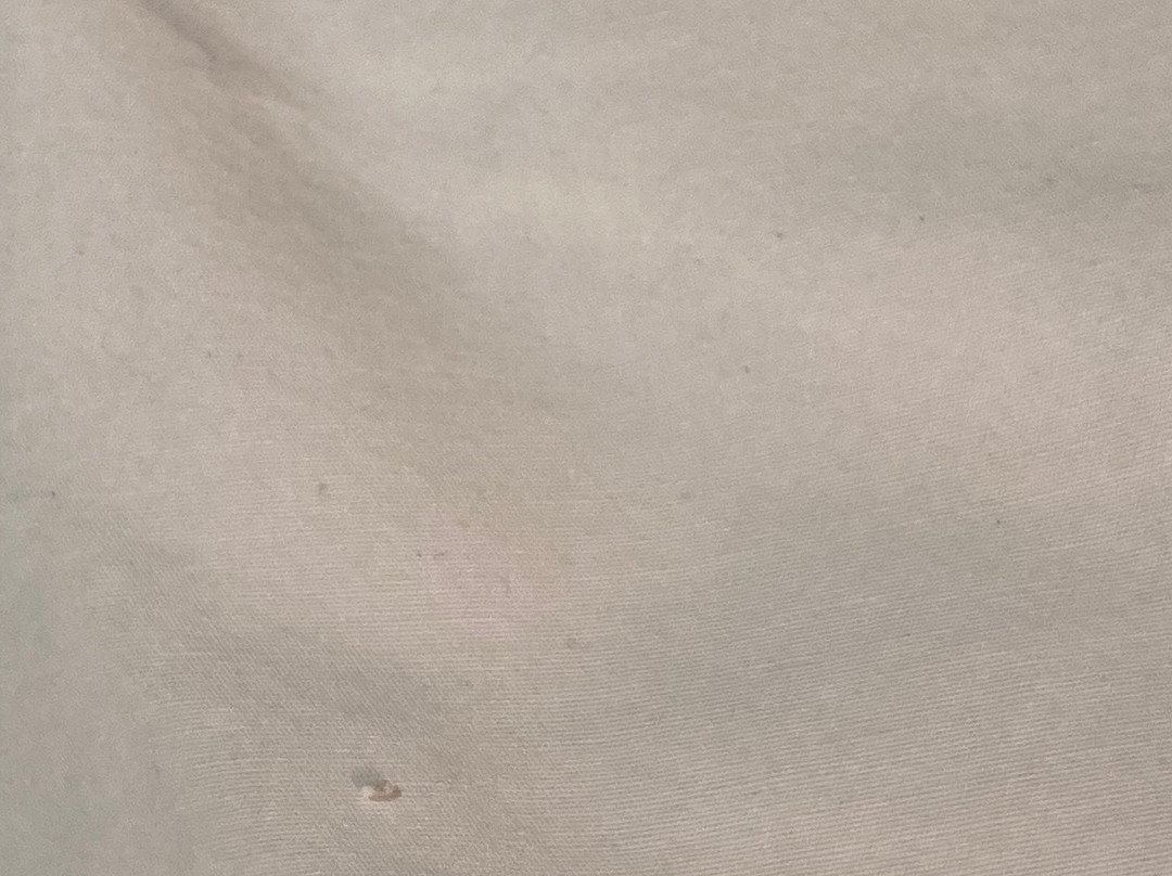 Comfort Inn & Suites主图