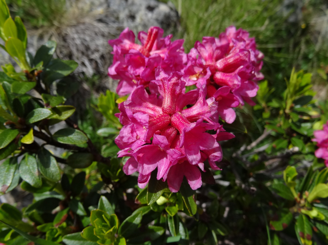 Landhaus Notburga主图