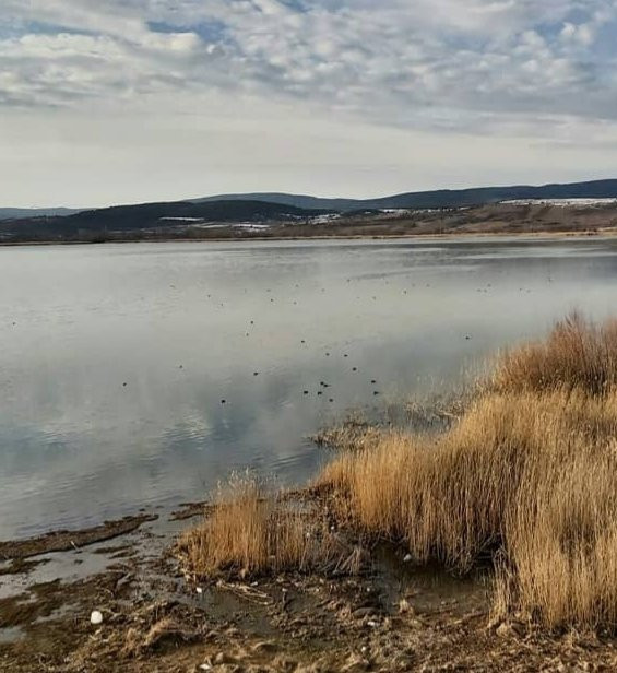 Yenicaga Lake景点图片