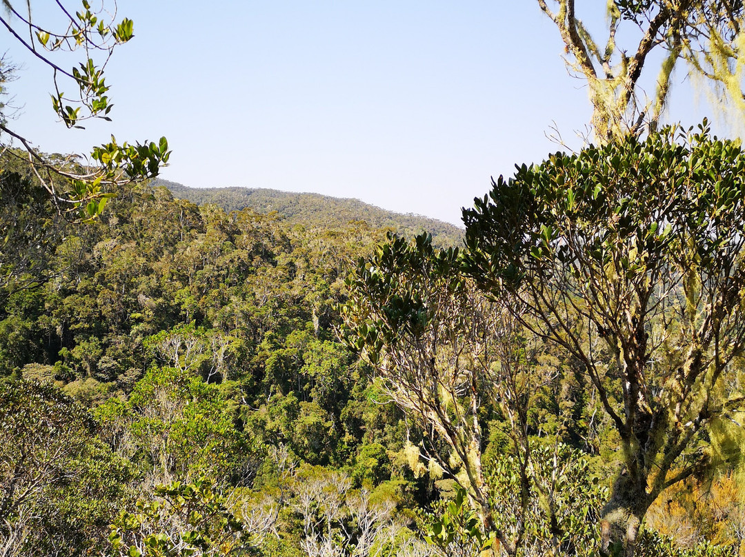 Andasibe-Mantadia National Park景点图片
