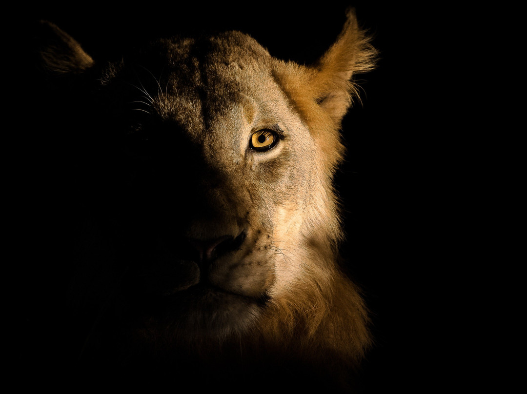 Unforgettable Africa-开普敦中心区必去景点