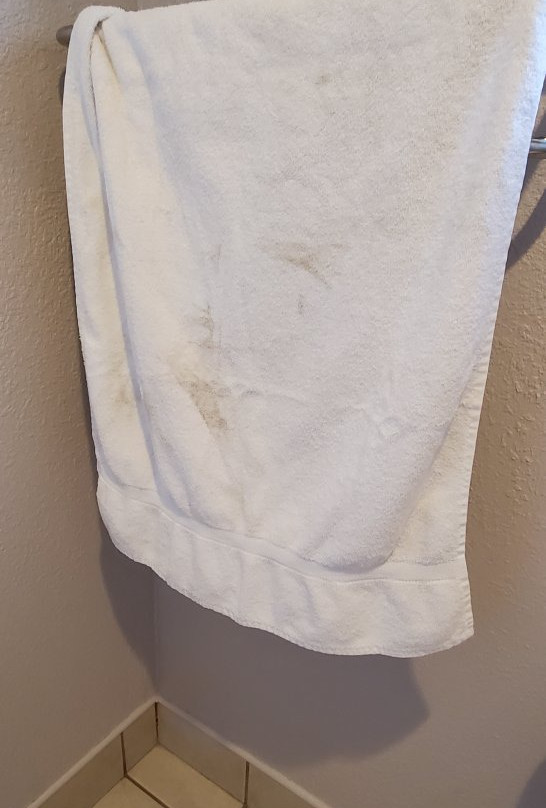 Journey Inn Woodland主图