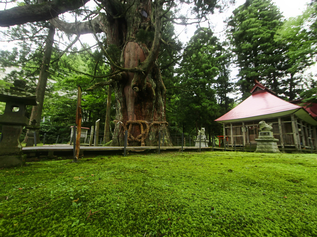 Mushigawa no Osugi-上越市必去景点