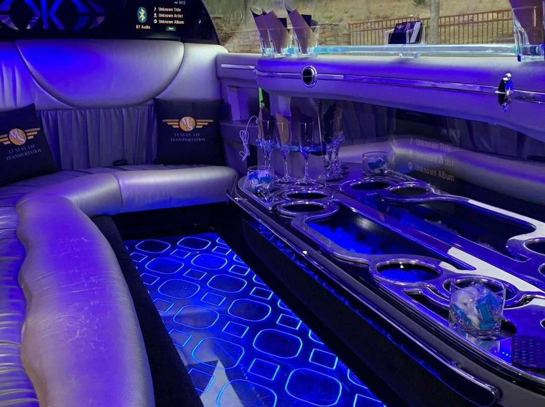 MS Luxury VIP Transportation, LLC.-奥斯丁必去景点