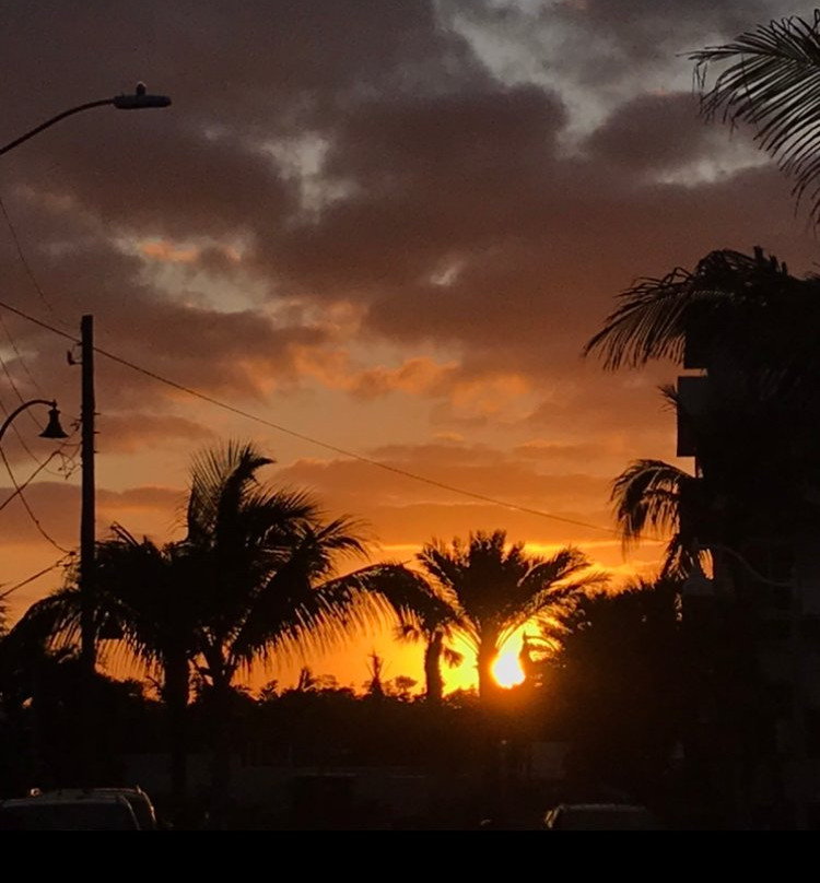 Sea Downs and the Bougainvillea主图