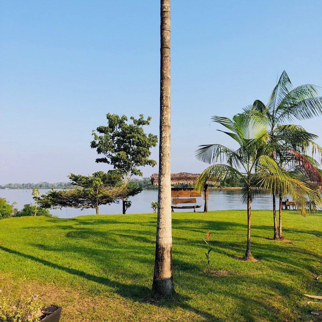 Eware Refugio Amazonico-家庭/游戏区