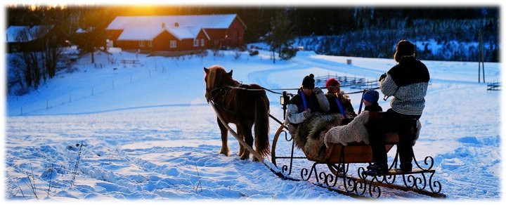 Sorbraten Farm-奥斯陆必去景点