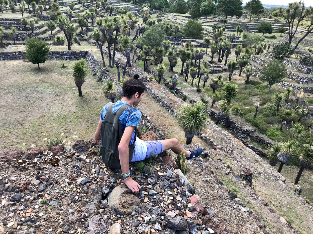 Zona Arqueológica de Cantona景点图片