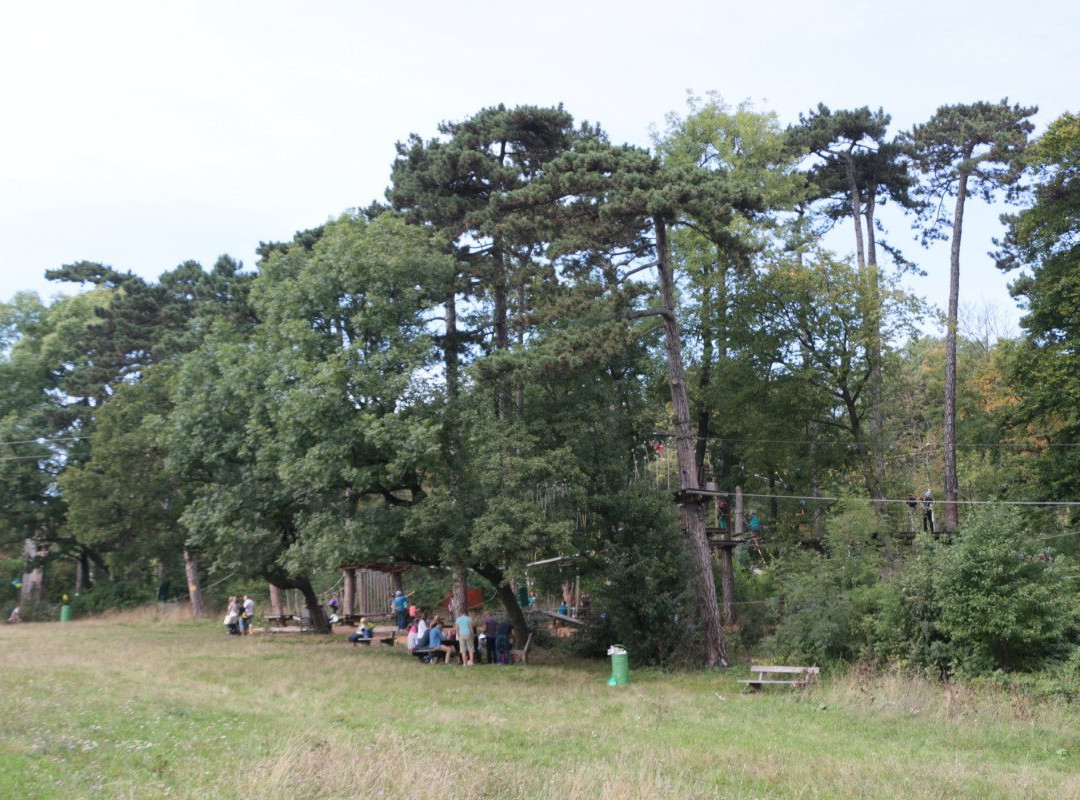 Waldseilpark Kahlenberg-维也纳必去景点