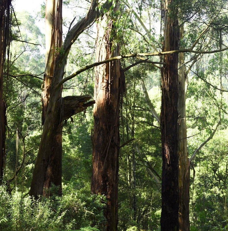 Mt Worth National Park-Allambee必去景点