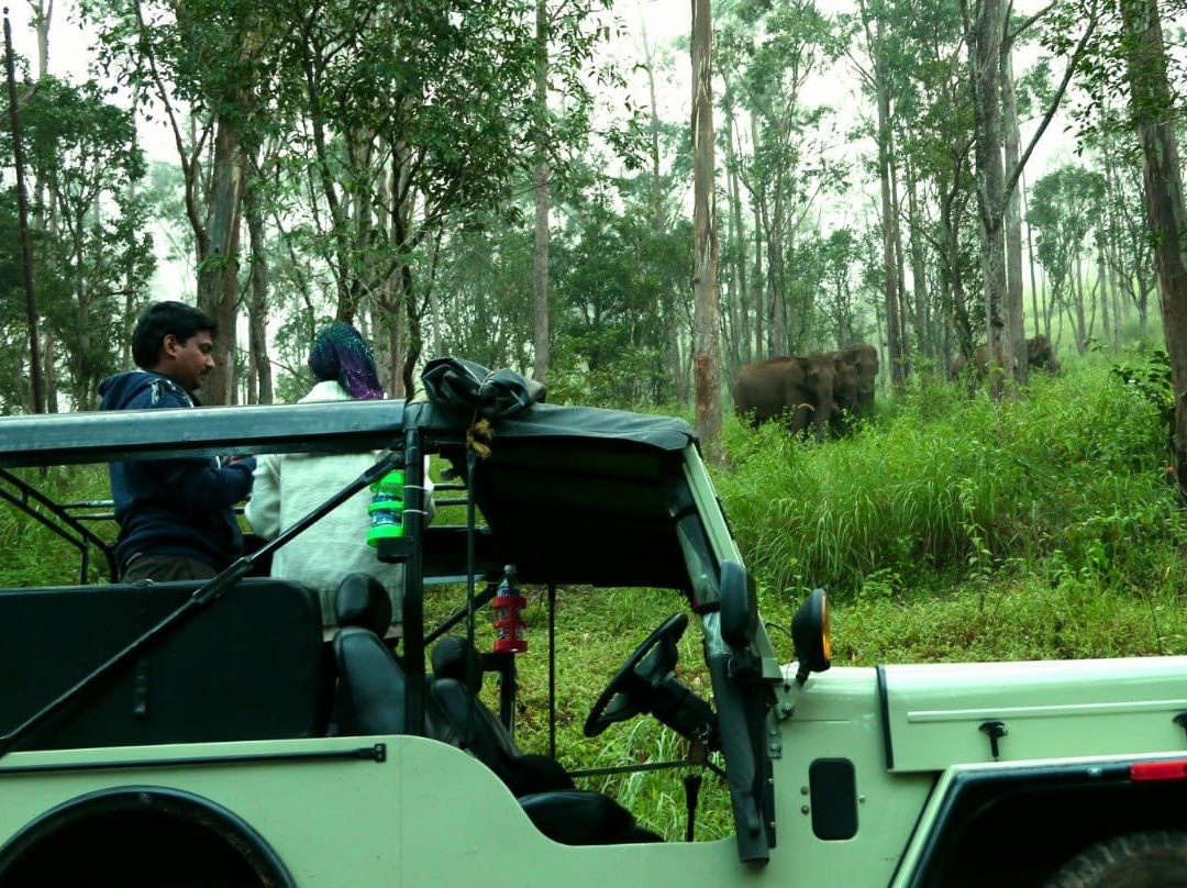 Green Kerala Tours & Travels景点图片