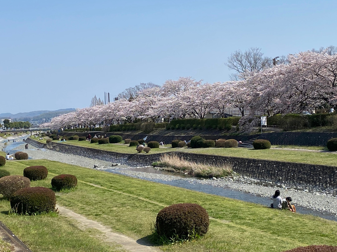 Chuo Undo Park-秦野市必去景点