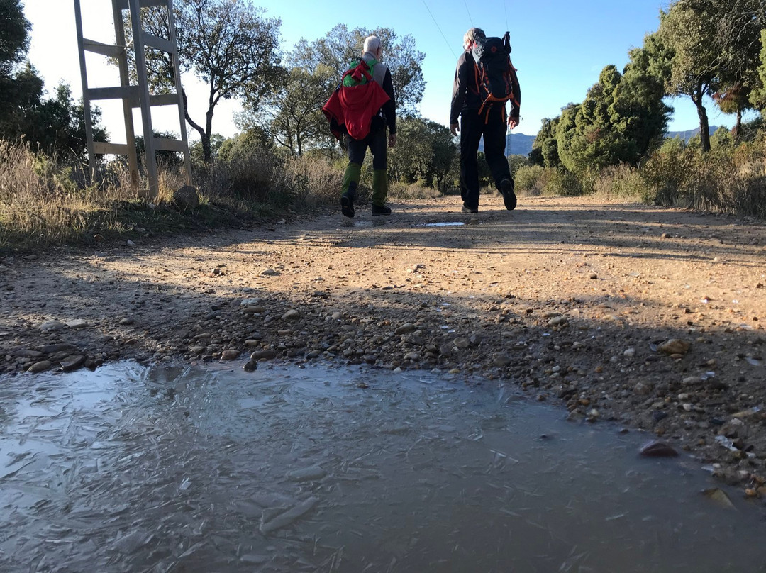 Parque Regional Cuenca Alta Del Manzanares景点图片