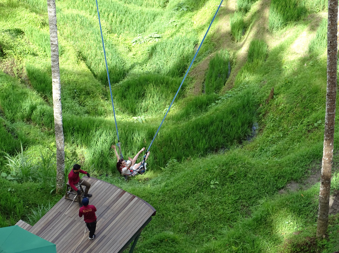 Terrace River Pool Swing-乌布必去景点