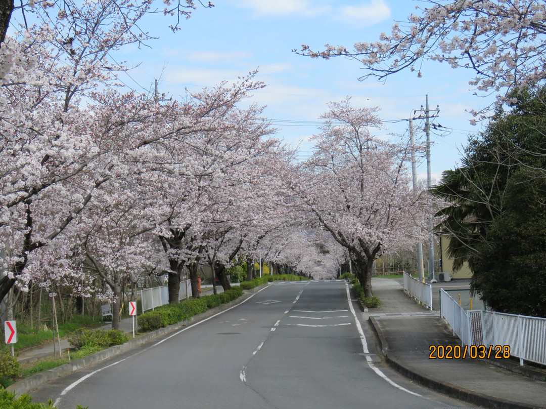 Nagatoromachi Tourist Information Center-长瀞町必去景点