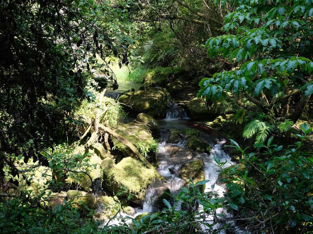 Te Ana and Tangoio Falls tracks景点图片