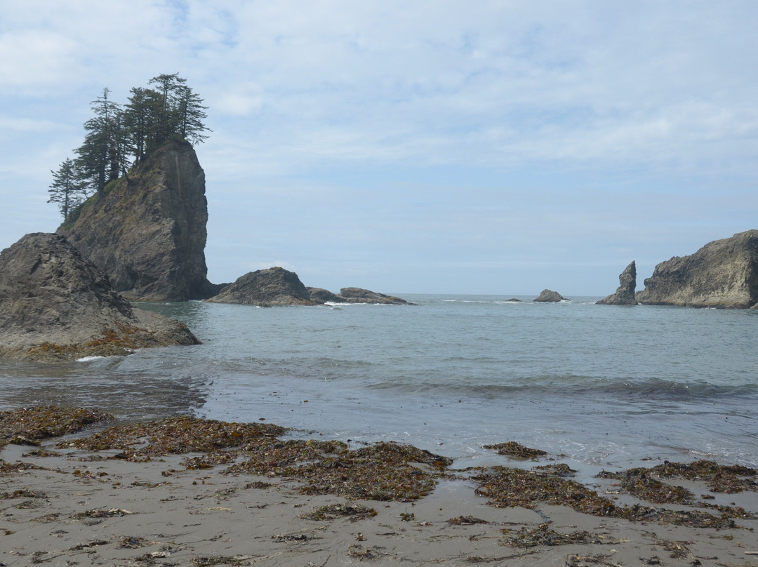 Second Beach景点图片