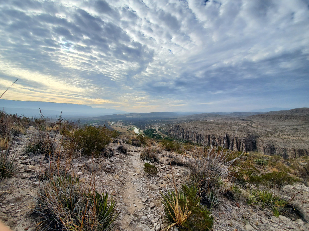 Rio Grande Village Nature Trail景点图片