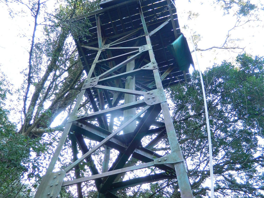 Karkloof Canopy Tour-豪威克必去景点