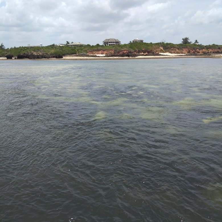 Mida Creek-瓦塔木必去景点