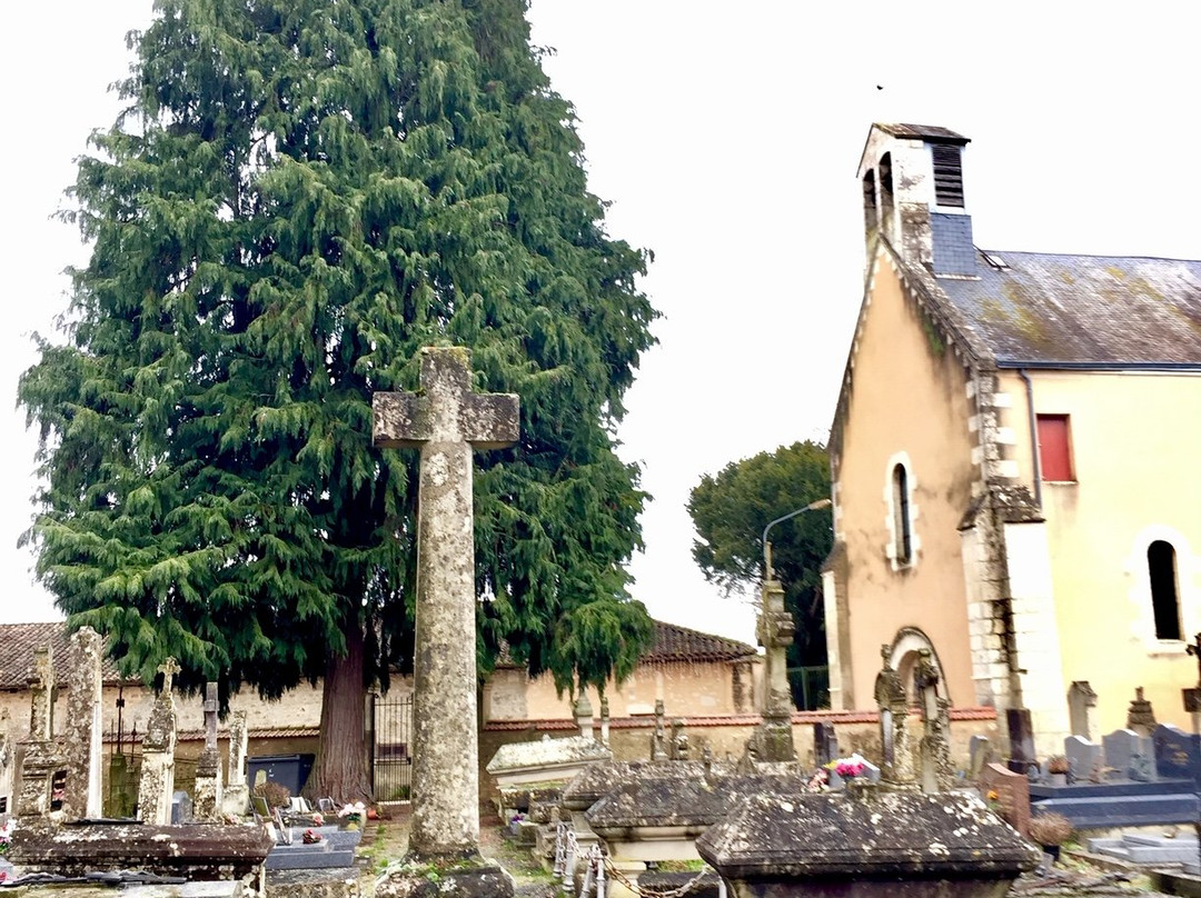Eglise Notre Dame de l'Assomption景点图片