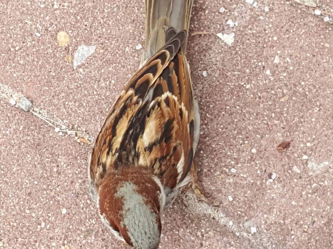 Amana Colonies National Historic Landmark-Amana必去景点