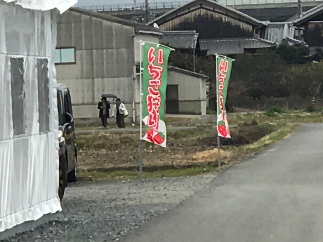 Osazen Strawberry Farm-八幡市必去景点