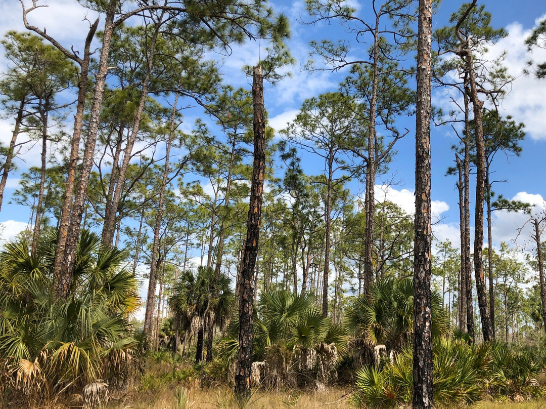 Serenity Walk Park-Naples Park必去景点
