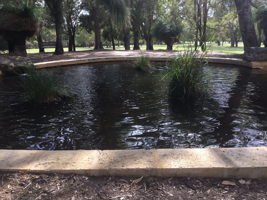 Piney Lakes Ecohub景点图片