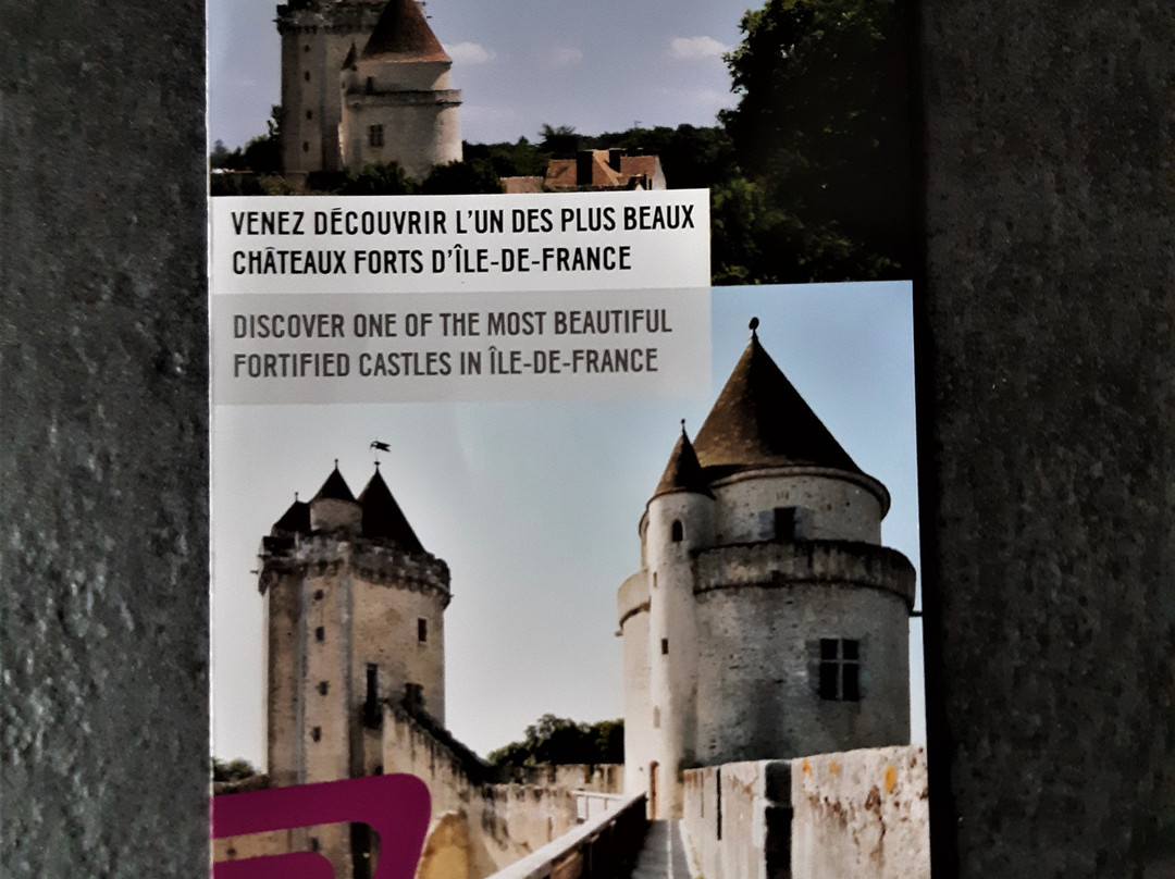 Château de Blandy-les-Tours景点图片