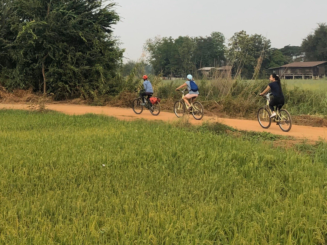 Cycling Sukhothai Bicycle Tour Thailand景点图片