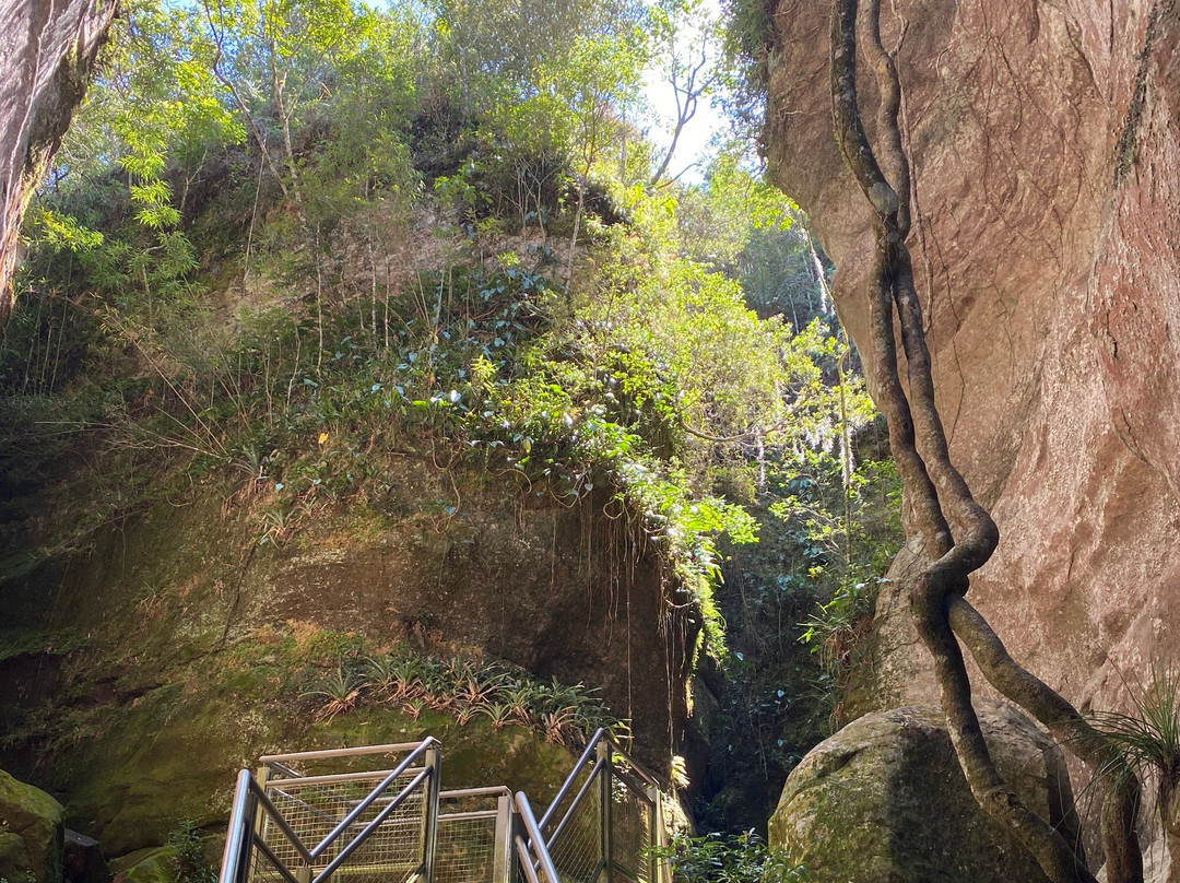 Parque do Monge景点图片