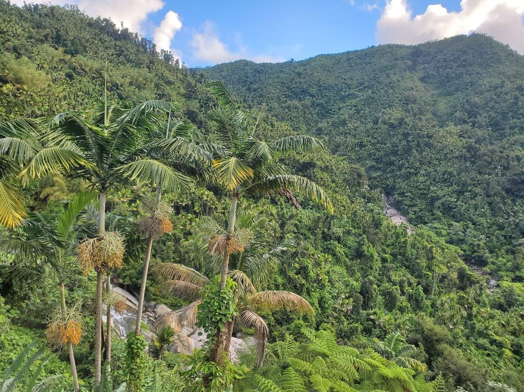 Casa Cubuy Ecolodge主图