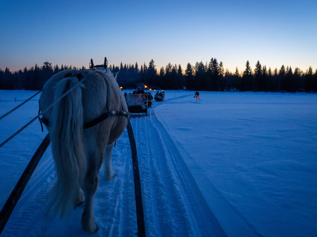 Trysil Hestesenter景点图片