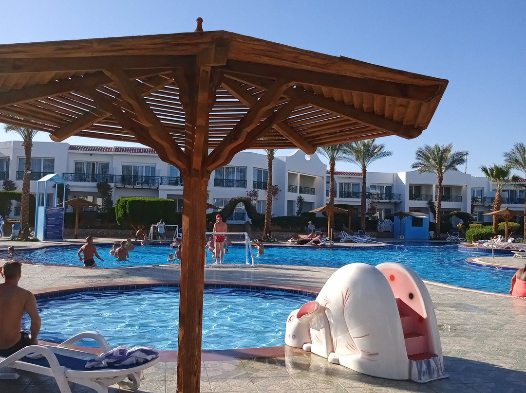 Panorama Naama Heights主图