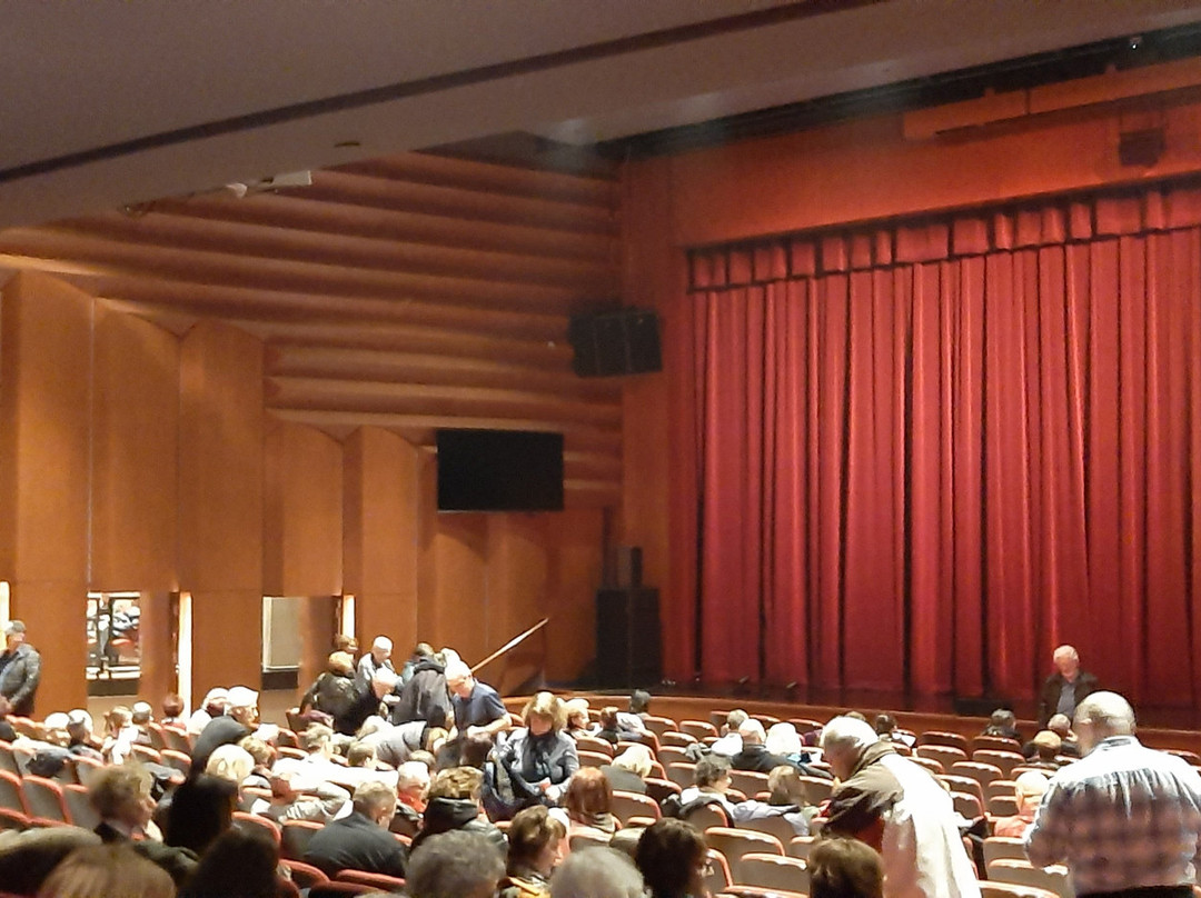 Maison des Arts Desjardins景点图片
