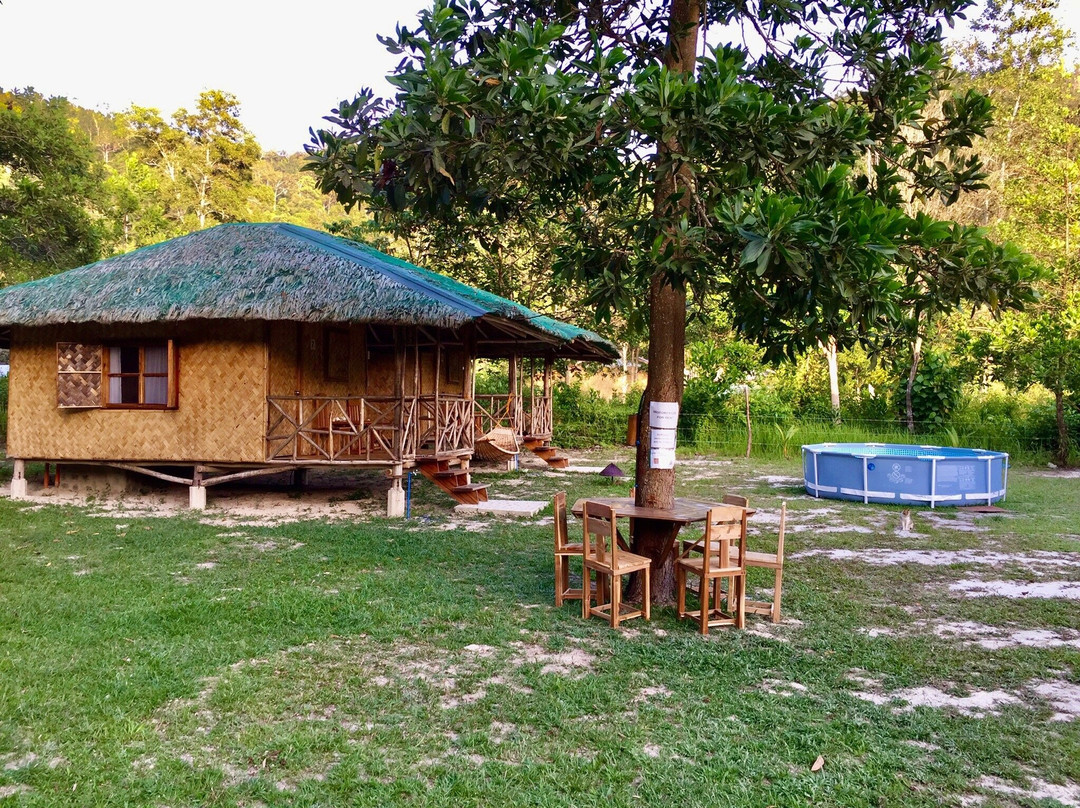 Back Trippers Inn主图