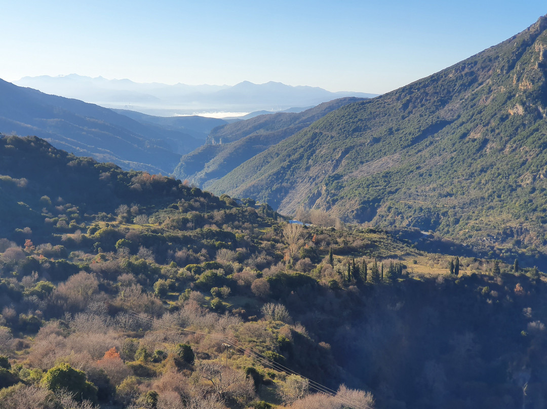 Nerida Boutique Hotel主图